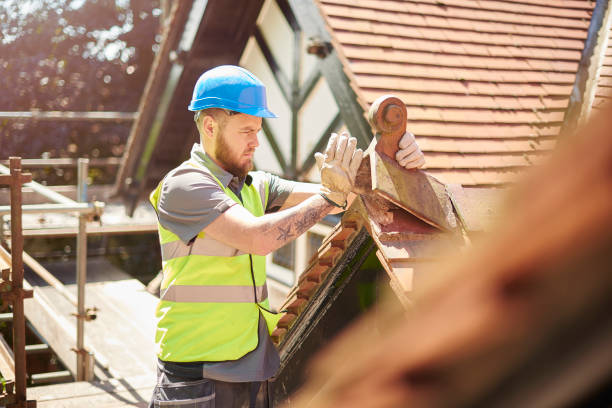 Best Roof Leak Repair  in Wildwood, NJ